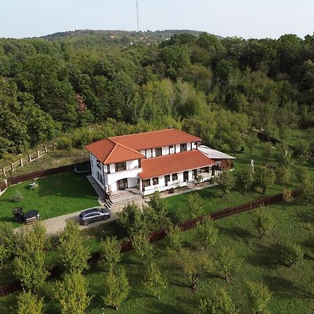 Pensiunea Emelys, Iasi Barnova Екстериор снимка