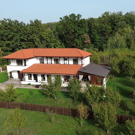 Pensiunea Emelys, Iasi Barnova Екстериор снимка