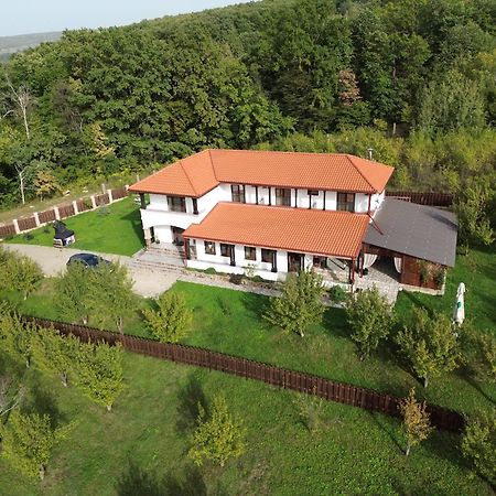 Pensiunea Emelys, Iasi Barnova Екстериор снимка