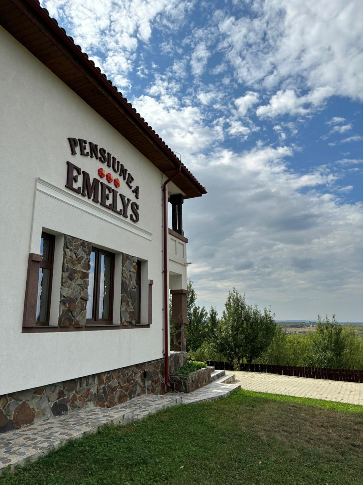 Pensiunea Emelys, Iasi Barnova Екстериор снимка