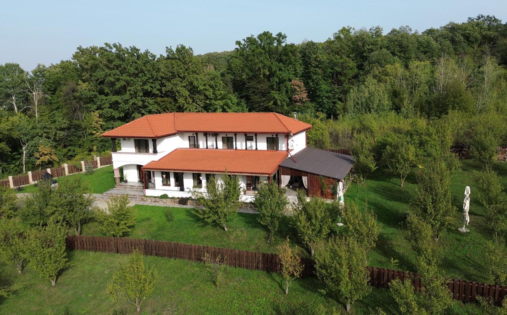 Pensiunea Emelys, Iasi Barnova Екстериор снимка