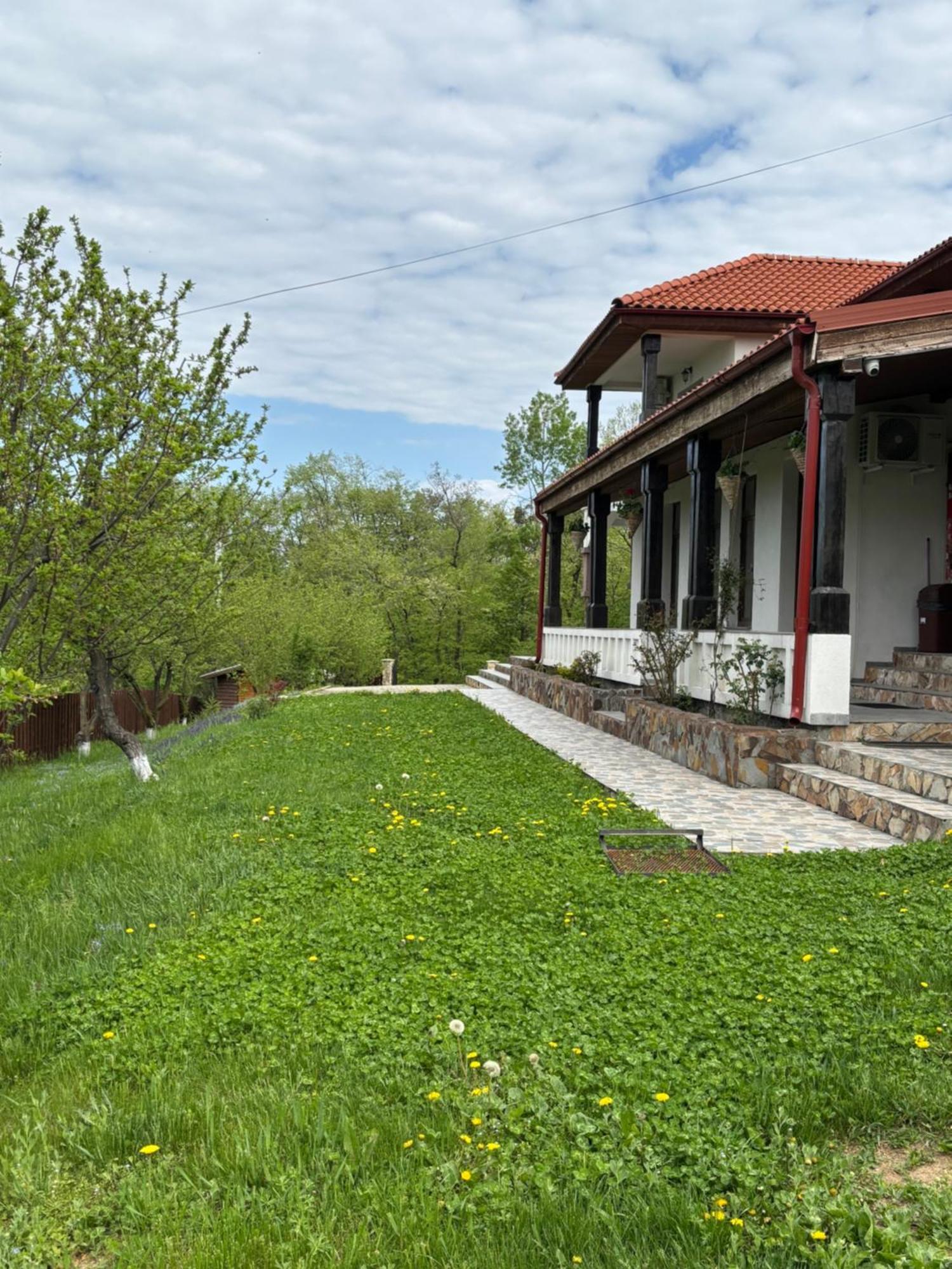Pensiunea Emelys, Iasi Barnova Екстериор снимка