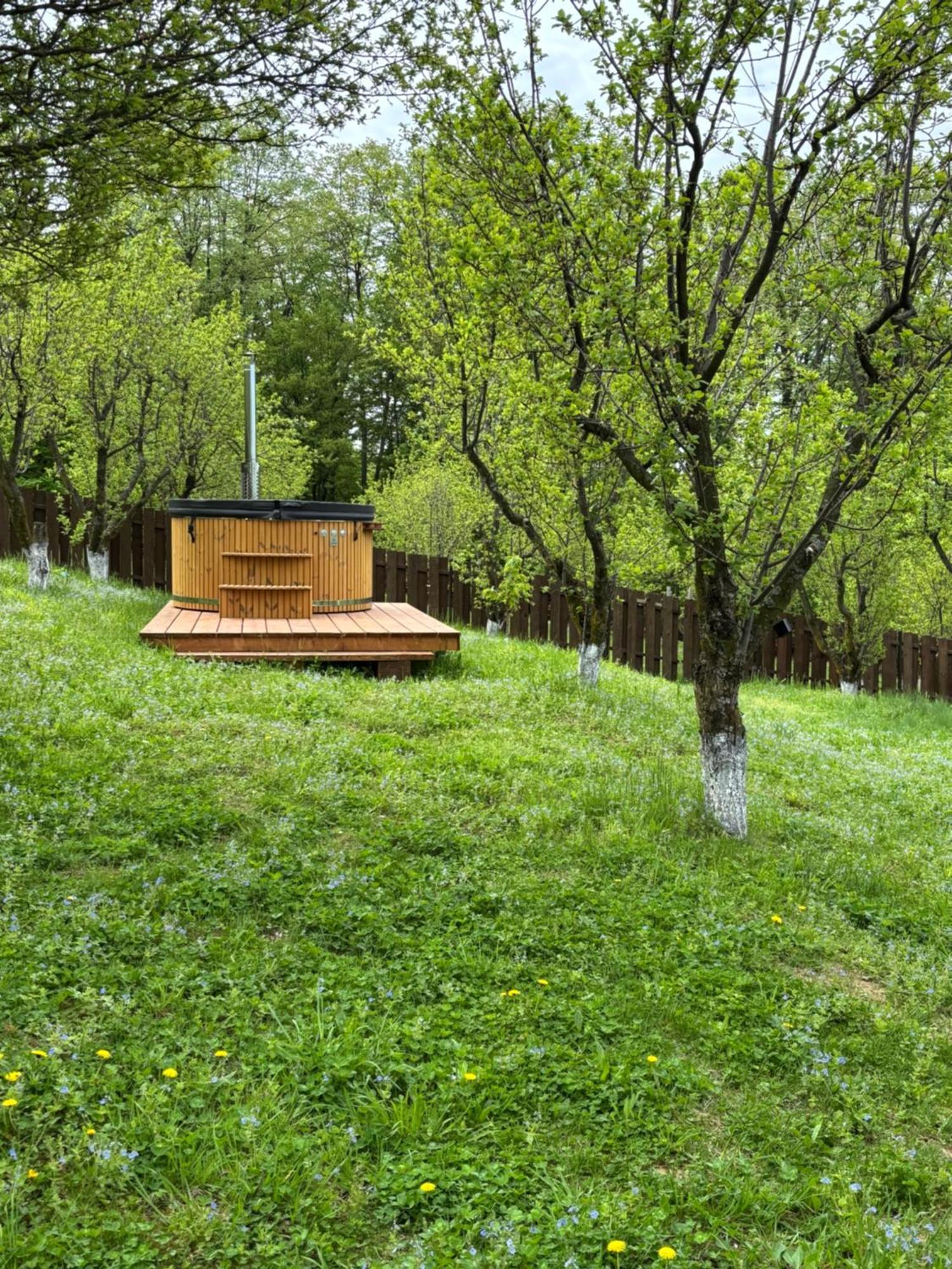 Pensiunea Emelys, Iasi Barnova Екстериор снимка
