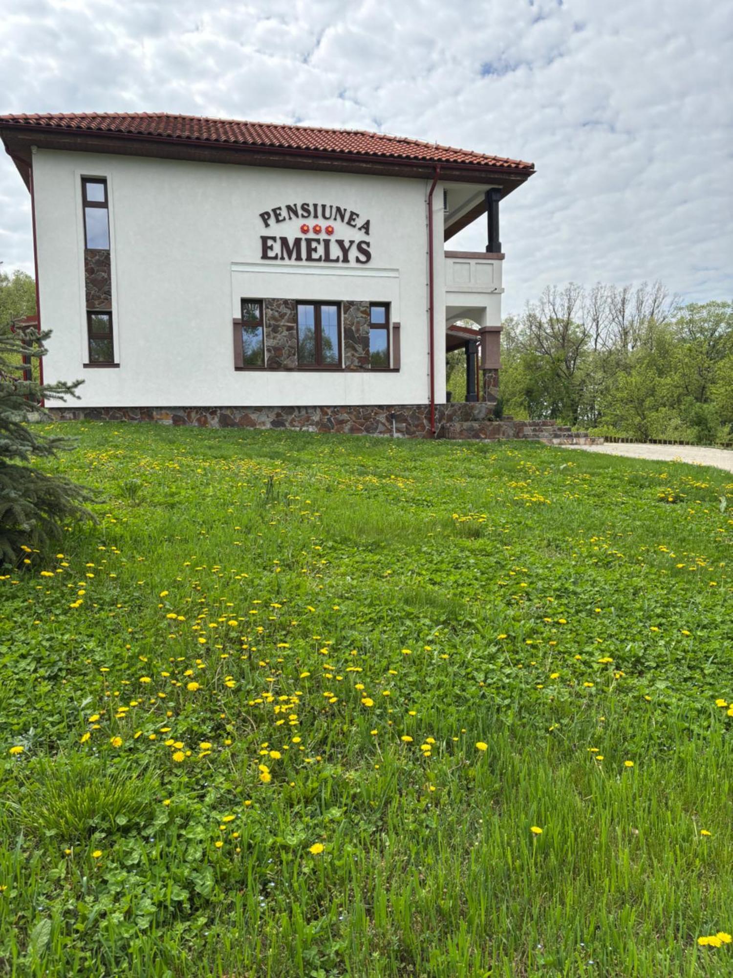 Pensiunea Emelys, Iasi Barnova Екстериор снимка